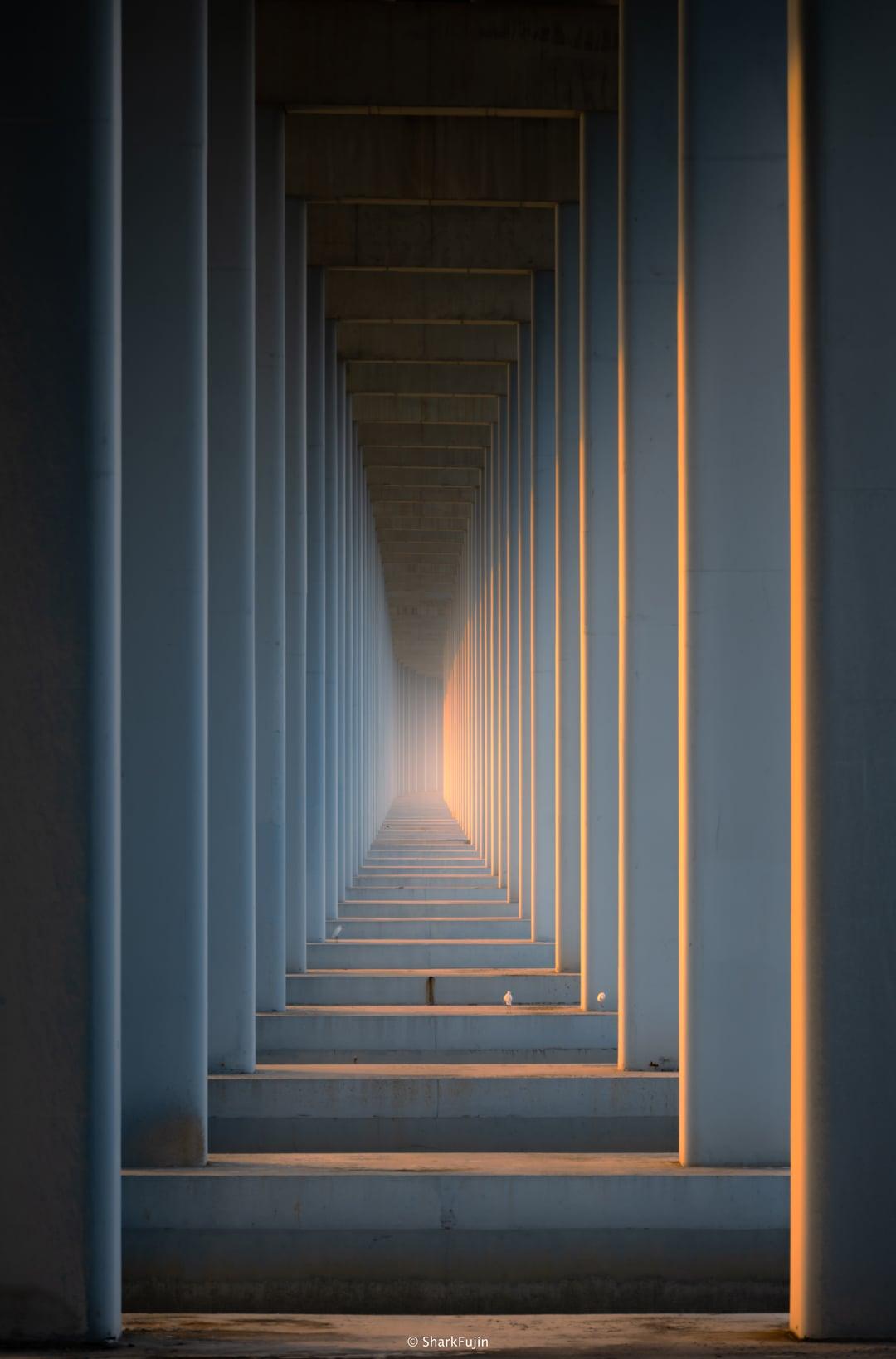 Reserved archive photography slot.